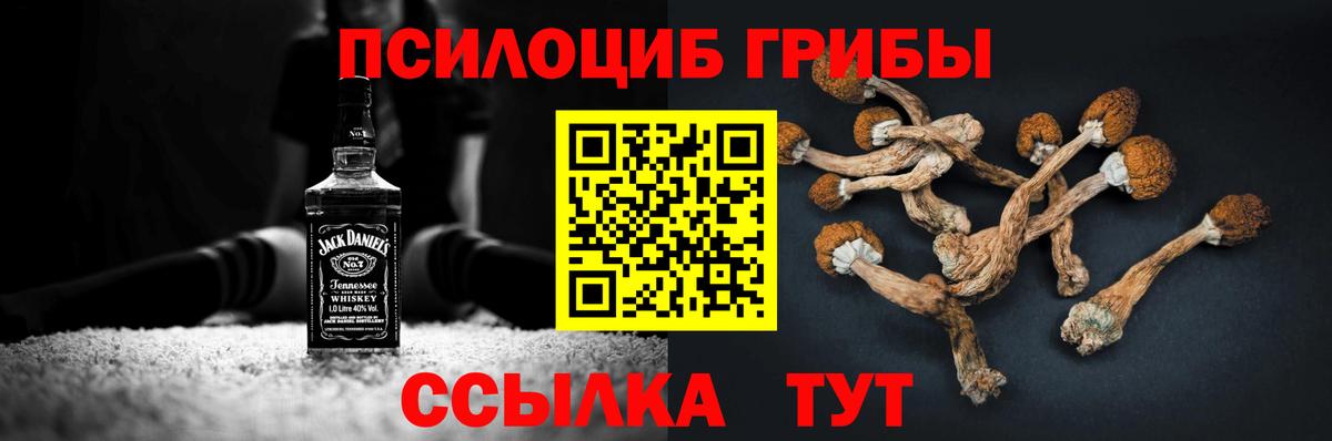 Санкт-Петербург  Галлюциногенные грибы Psilocybine cubensis  Вход с VPN 